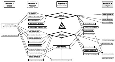 Gracie Combatives Flowchart