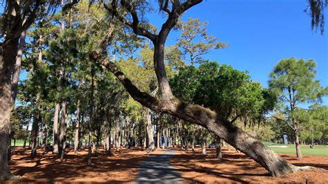 Grade 11 sinhala lesson 17.  Grade 9 Science Text Book PDF Download.  Page 1124 | O/L (Grade 6...