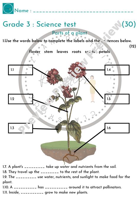 Grade 3 science test pdf.  All practice test items represent the appropriate grade level/c...