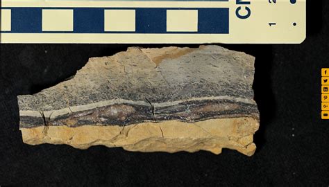 Graded bed in Tonoloway Formation