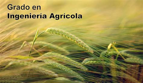 Grado en Ingeniería Agrícola, asignaturas y guías …