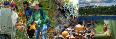 Graduate programs in ecology. Things To Know About Graduate programs in ecology. 