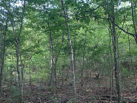 Grady, AL Recreational Land for Sale - LandSearch