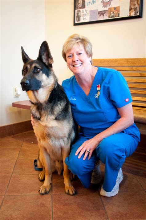 Grady vet. Cincinnati OH animal hospital's experienced veterinarians offer emergency veterinary services, pet dental care, pet vaccinations & more: committed to a high standard of veterinary care: Grady Veterinary Hospital, Cincinnati Ohio. 