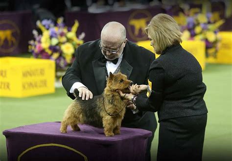 Gragg Financial - The Westminster Kennel Club Dog Show