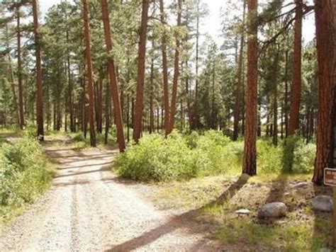 Graham Creek Campground - The Outbound