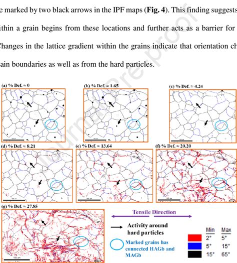 Grain boundary strain as a determinant of localized sink …