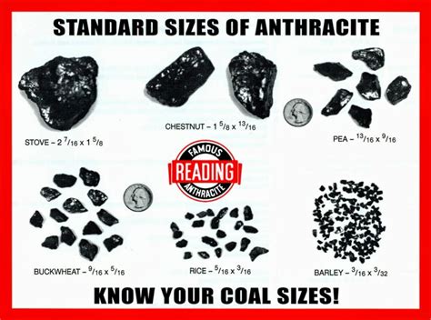 Coal can be utilized directly after being excavated from mining site and after it passed a size reduction process. This process produces various sizes of coal, ranges from boulder up to fine coal.. 