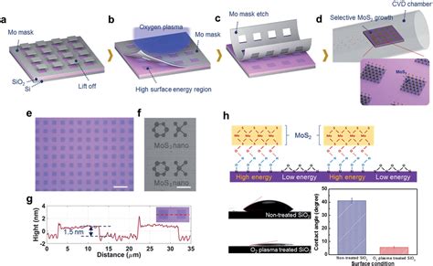 Grains in Selectively Grown MoS2 Thin Films