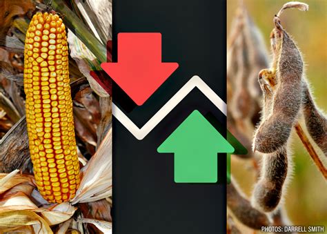 Grains mostly lower, Livestock lower