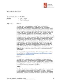 Gram Stain Protocols - American Society for …