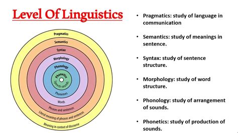 Grammar linguistics. Things To Know About Grammar linguistics. 