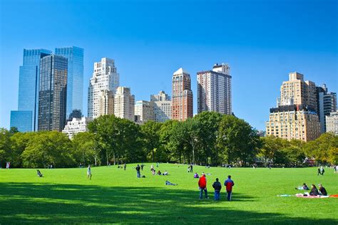 Grand central park. The Grand Central Park has over 3,500 diverse species of trees and is packed with multiple amenities designed to make it an immersive experience for visitors. “The … 