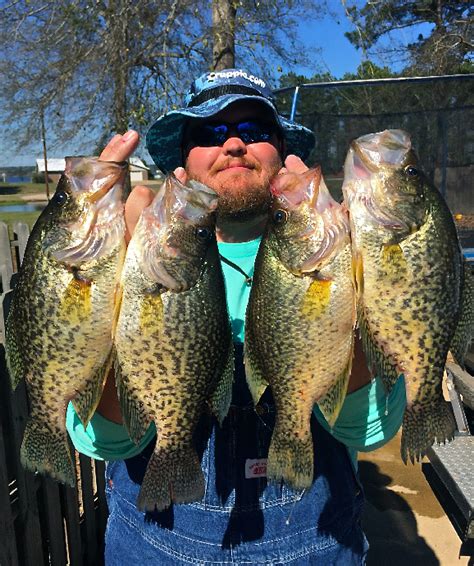 Grand crappie fishing at Grand Bayou - Louisiana Sportsman