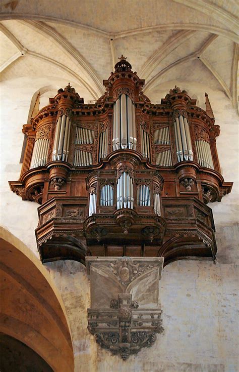 Grand orgue de la cathédrale saint etienne de toulouse. - Pehr lofling y la expedicion al orinoco, 1754-1761.