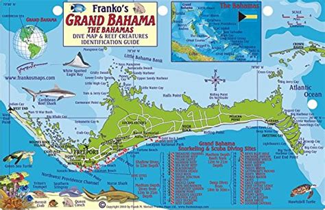 Read Grand Bahama Island Dive Map  Reef Creatures Guide Franko Maps Laminated Fish Card By Franko Maps Ltd