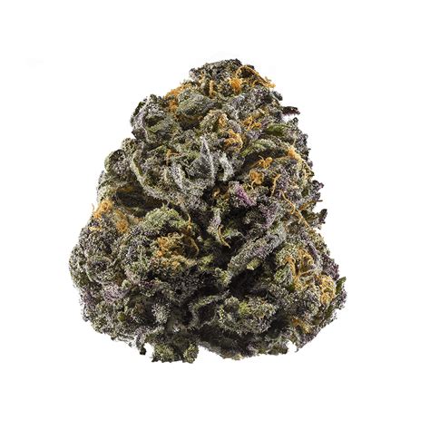 Granddaddy - What is Granddaddy Purple. Granddaddy Purple is a strong and hardy indica strain, with a rich flavorful smell. It is one of the most, if not the most popular purple strains. Its parent strains are Purple Urkle and Big Bud. It gets its strong, smooth smell from Purple Urkle, as well as its coloring and its chunky, big flowers from Big Bud.