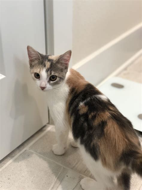 Grandewhitemocha Leaks [HD] 18 Pics