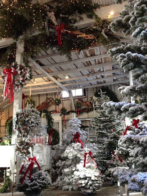 Sausalito Farms. Each year we help raise $20k for local schools and non-profits through fundraising. We donate $20/per tree to the our participating schools and non-profits. Open the day after Thanksgiving. Hours of operation - Mon. - Thurs. noon - 7pm, Fri. noon - 9pm, Sat. 9am - 9pm and s/un, 9am - 7pm. Sausalito Farms.