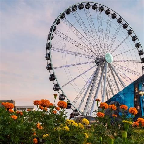 The Grandscape Wheel is a giant Ferris wheel