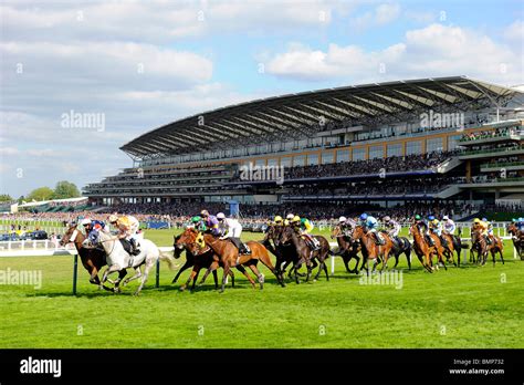 Grandstand - Horse Racing Nation