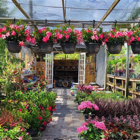 Grannys Nursery Riverview FL - Facebook