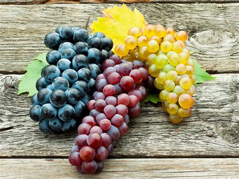 Grape Onlyfans Leak
