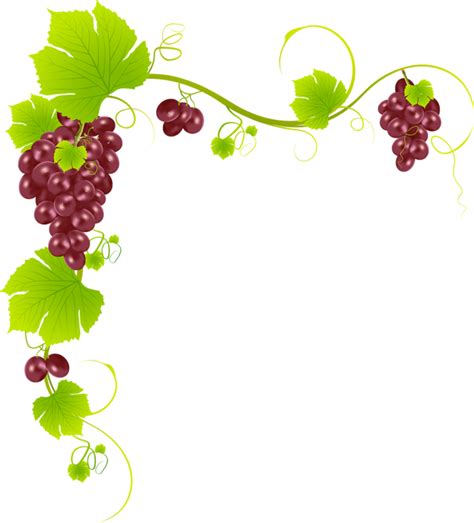 Grape Border Images Free Photos, PNG Stickers, Wallpapers ...