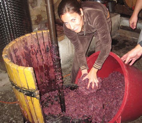 Grape Porn &ndash; Gay Male Tube