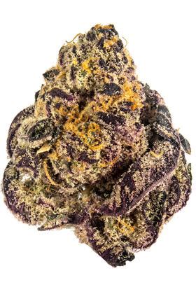 Grape animals strain. Grape Ape is a relatively easy strain to grow, making it a good choice for beginner growers. The plant produces high yields of dense, resinous buds with a distinctive grape scent and flavor. Grape Ape is popular among medical cannabis users for its ability to induce relaxation and relieve pain and anxiety. 