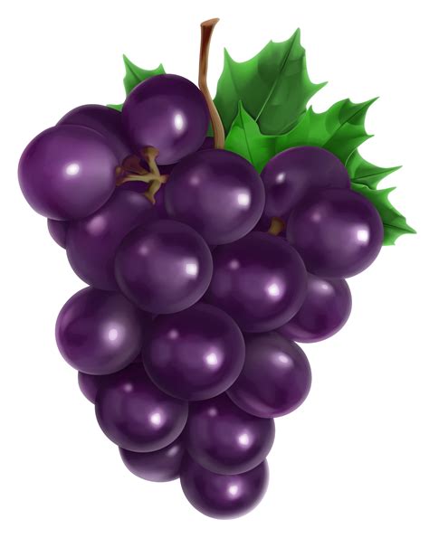 Grape clips. 331. 332. Publicdomainvectors.org, offers copyright-free vector images in popular .eps, .svg, .ai and .cdr formats.To the extent possible under law, uploaders on this site have waived all copyright to their vector images. You are free to edit, distribute and use the images for unlimited commercial purposes without asking permission. 