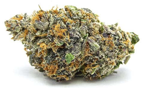 Sunset Gelato strain helps with. Anxiety. 36% of people say it helps with Anxiety. Depression. 12% of people say it helps with Depression. Bipolar disorder. 12% of people say it helps with Bipolar .... 