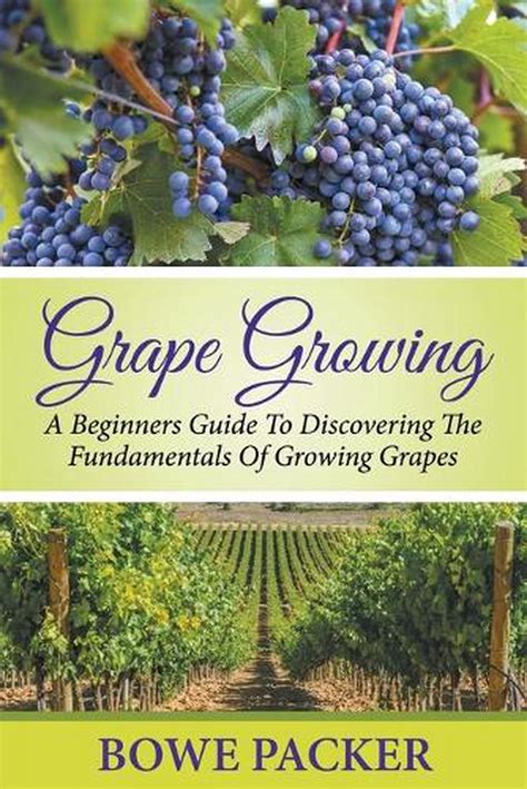 Grape growing a beginners guide to discovering the fundamentals of growing grapes. - Java super review w o cd rom super review guide di studio.