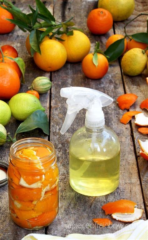 Grapefruit Cleaner - Etsy