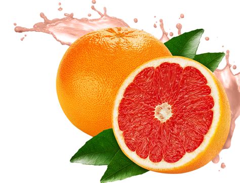 Grapefruit PNG transparent image download, size: …