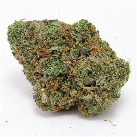 Southern Zlush by Raw Genetics is a feminized hybrid strain, carefully crafted through the fusion of Zlushiez and Georgia Pie genetics. This exquisite strain harmoniously combines the best of both indica and sativa varieties, making it adaptable for cultivation indoors and outdoors.. 