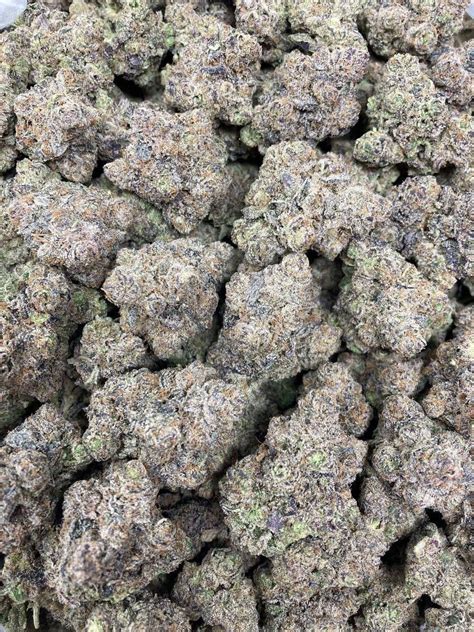 Grapelato strain. Grapelato, is a slightly indica dominant hybrid strain (60% indica/40% sativa) created through crossing the classic Grape Kush X Gelato strains. Named for its delicious flavor, Grapelato brings on high-flying effects and a potent high that’s perfect for a lazy night spent at home. 