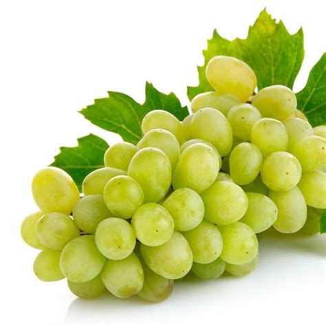 Grapes - Wholesale Price & Mandi Rate for Grapes in India