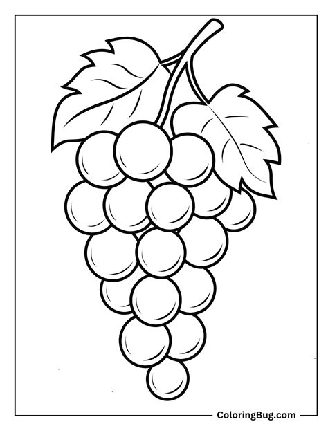Grapes Coloring Shee
