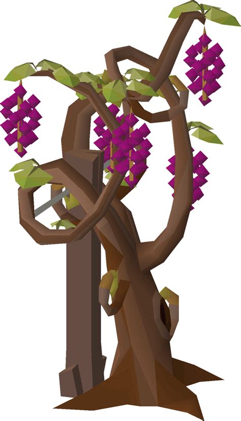 Grapevines are grown by planting four grapevine seeds in a hops patch, requiring level 95 Farming, producing god grapes. It can be protected by paying a farmer 15 krandorian hops. The patch will need a frame to grow the vines, which can be built with five planks. Use the planks on the patch to build the frame. A plank box may be used directly on a hops patch to build the frame.. 