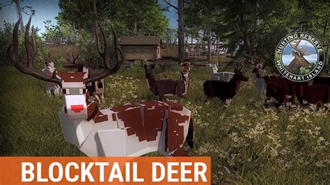 Graphics appear "blocky" in theHunter: Classic