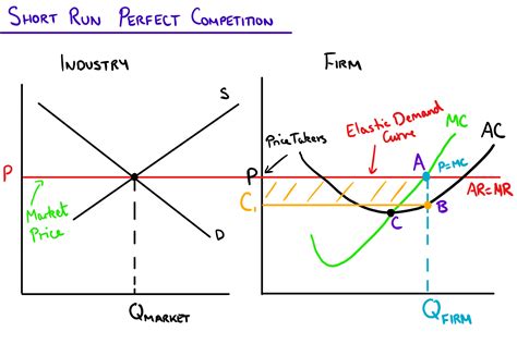 Graphing Perfect Competition