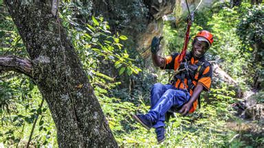 Graskop Lift Company - Tree-Top Challenge