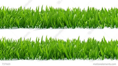 Grass Alpha Stock Footage ~ Royalty Free Stock Videos Pond5