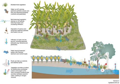 Grass Buffers (Vegetated Open Channel) - Harry R.