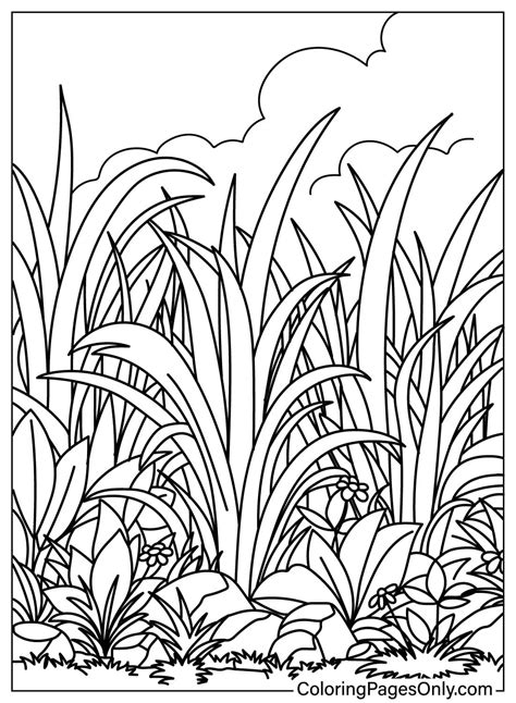 Basketball Coloring Page Printable