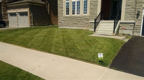 Grass Cutting in Brampton - Phones, Address, How to get there