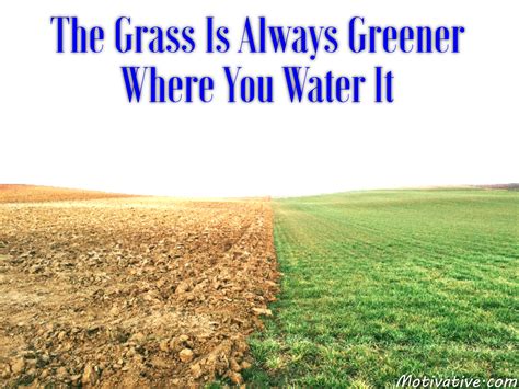 Grass Is Greener & Co. Ballarat VIC