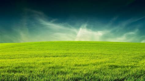 Grass Landscape Photos, Download The BEST Free Grass …