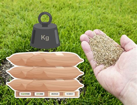 Grass Seed Calculator How much grass seed per area 🥇